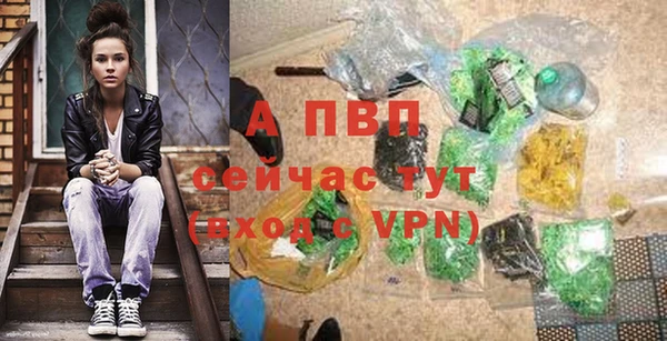 PSILOCYBIN Белоозёрский
