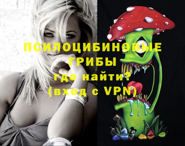PSILOCYBIN Белоозёрский
