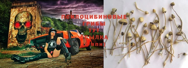 PSILOCYBIN Белоозёрский