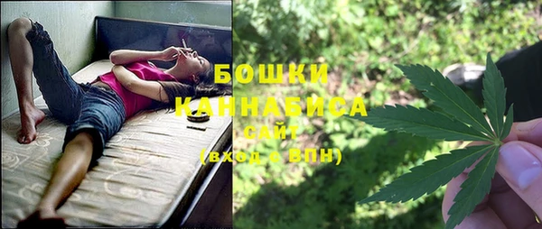 ALPHA PVP Белокуриха