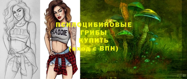 молекула духа Беломорск